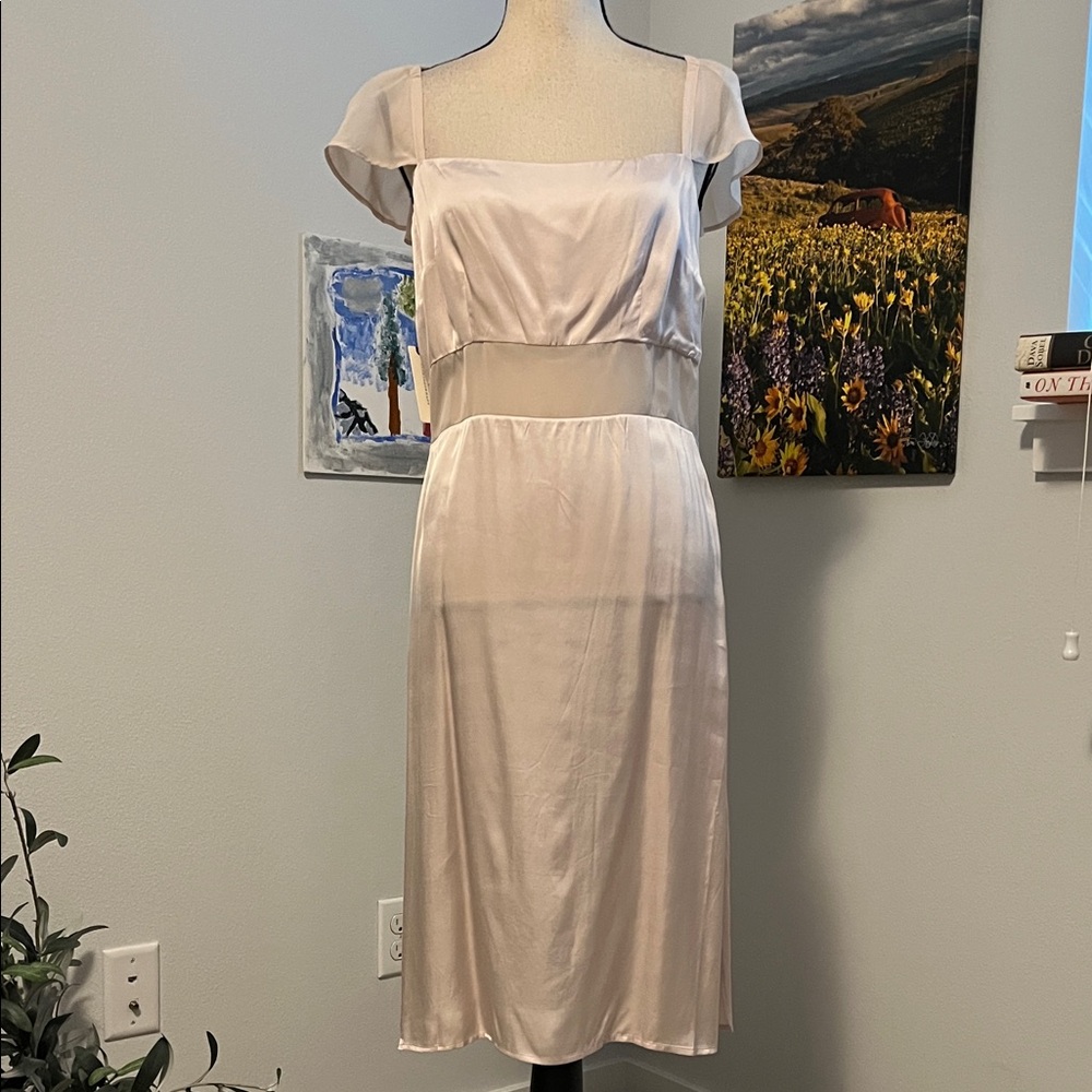 NWT Anthropologie Sheer Slip Dress